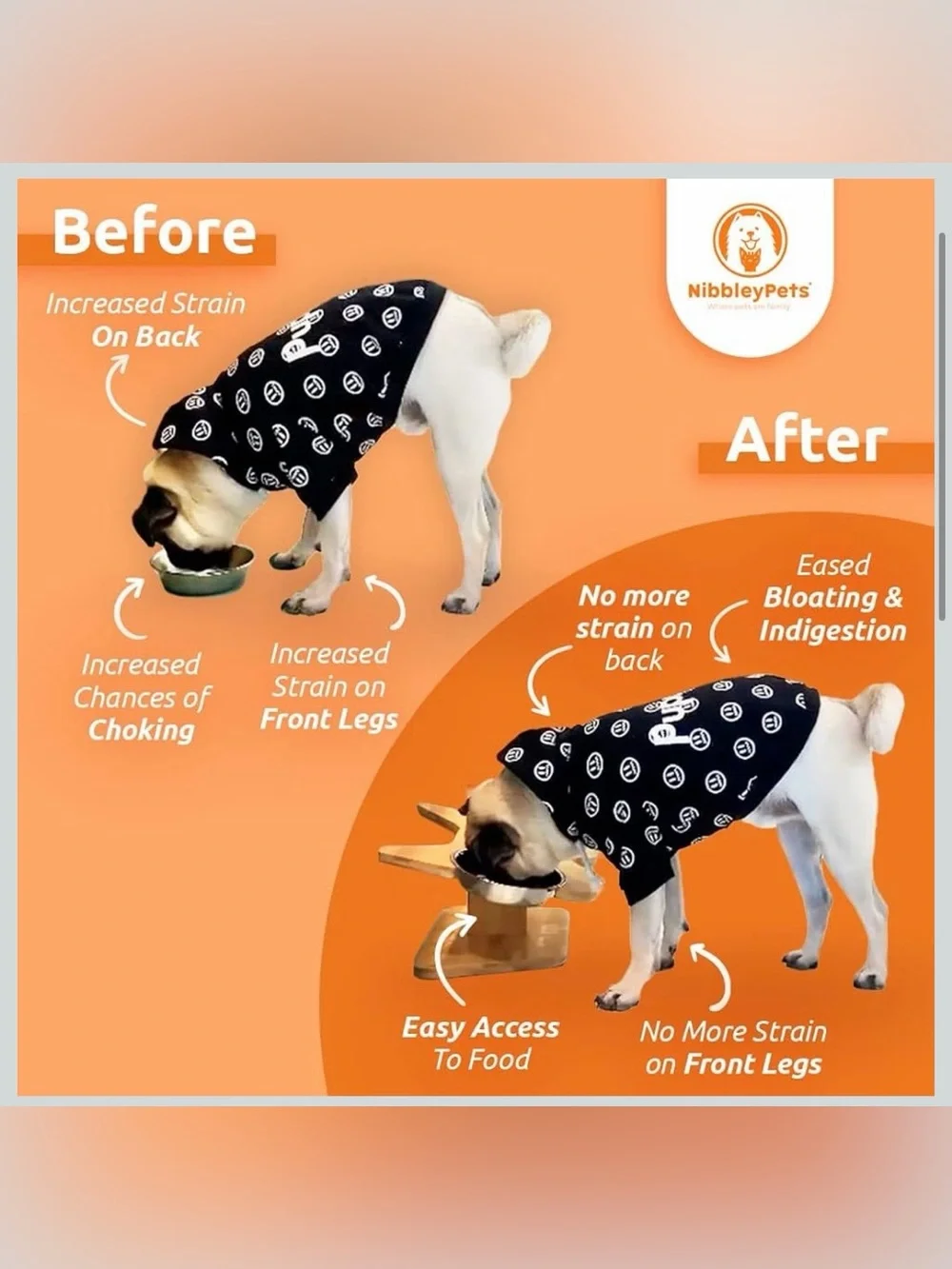 🐶🥣 NibbleyPets Elevated Dog Bowl Stand with Stainless Steel Bowls – 3-Piece Set
